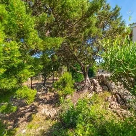 Casa Eleonora - A 150m Dalla *